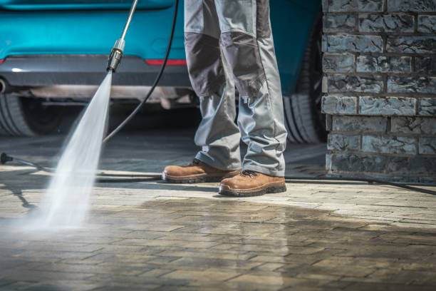 Best Driveway Pressure Washing  in Oldsmar, FL