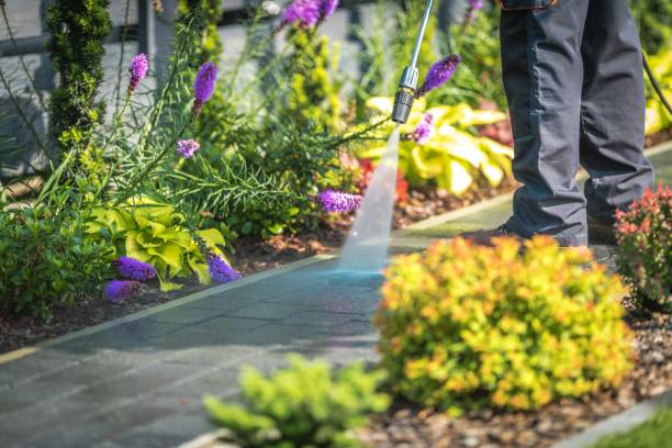 Best Post-Construction Pressure Washing  in Oldsmar, FL