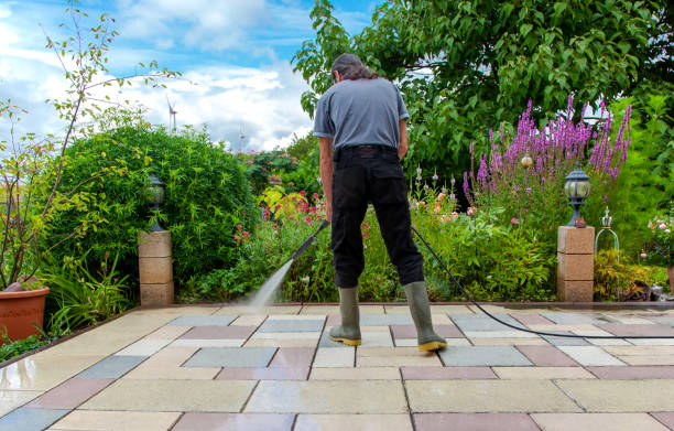 Best Patio and Deck Pressure Washing  in Oldsmar, FL