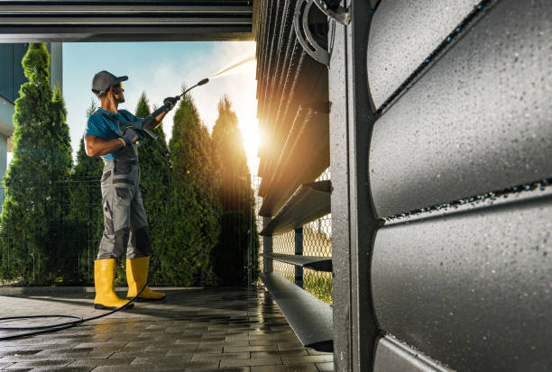 Best Building Exterior Washing  in Oldsmar, FL